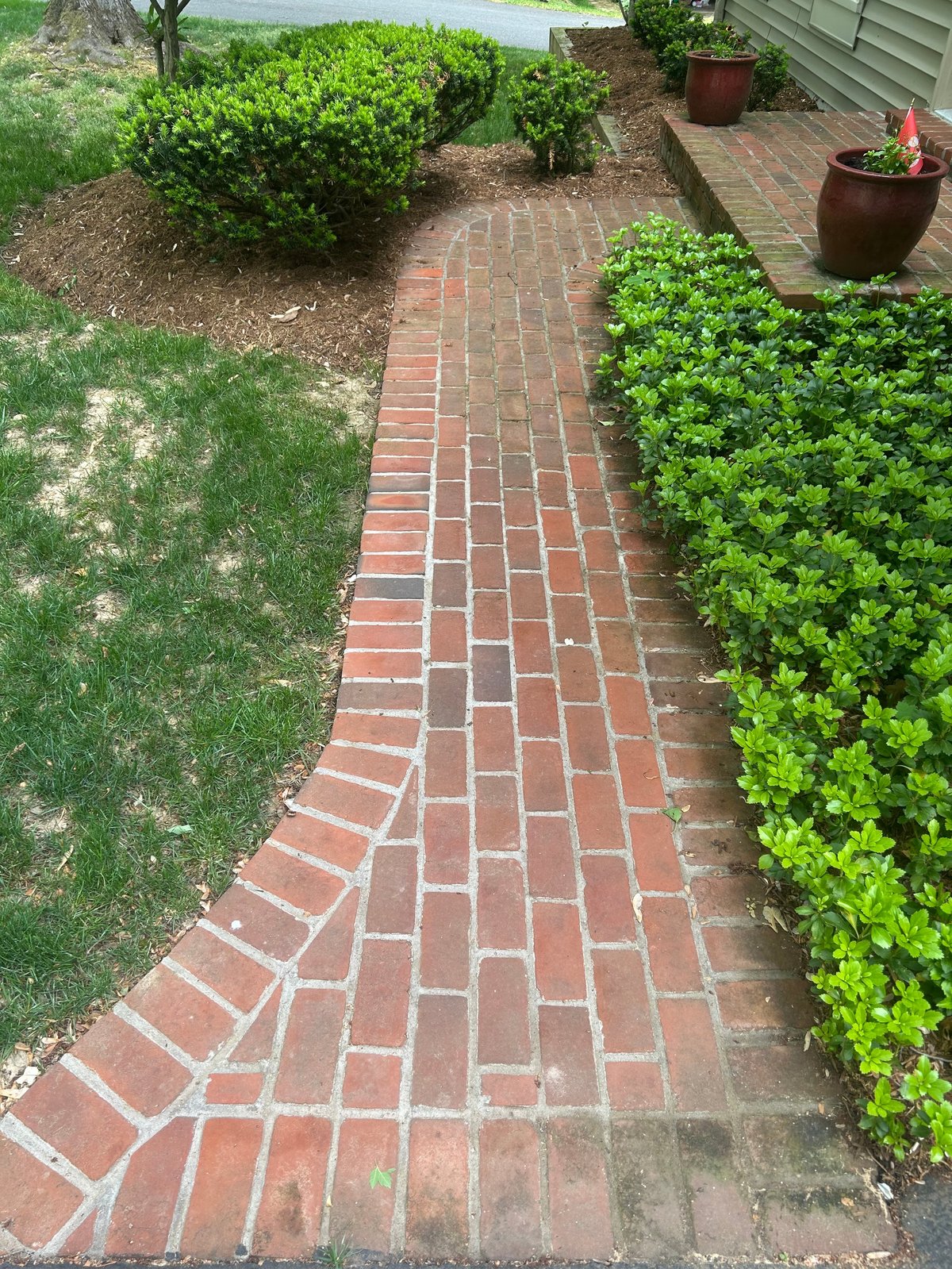 Red brick walkway lined with green hedge bushes and potted plants in a residential garden