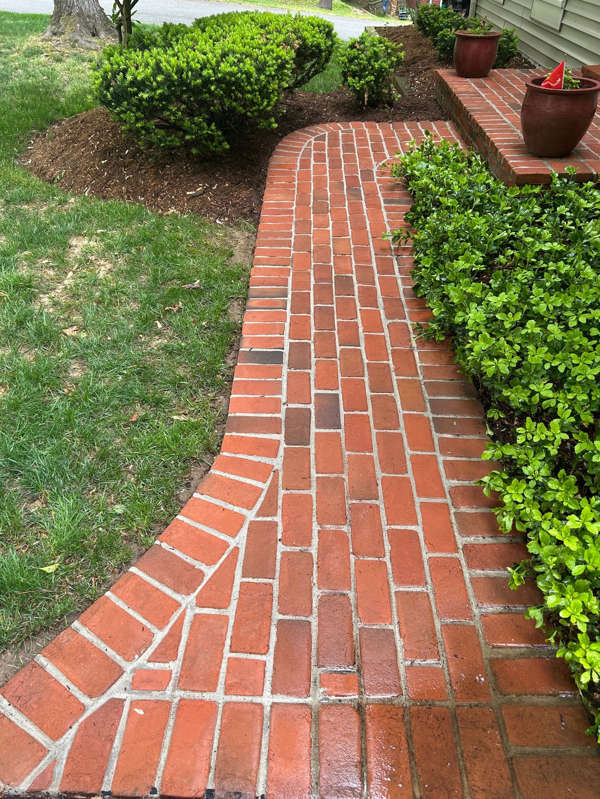 Red brick curved pathway lined with green shrubs and potted plants in a residential garden