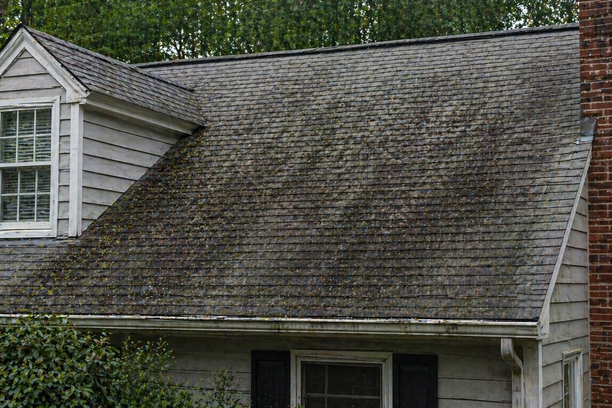House roof with moss and algae growth covering gray shingles, showing weathering and lack of maintenance.